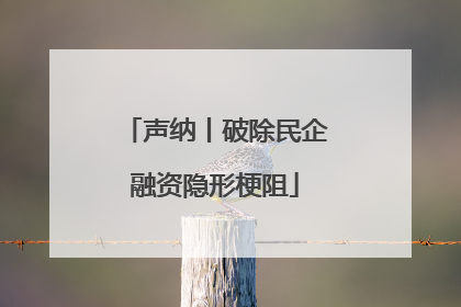 声纳丨破除民企融资隐形梗阻