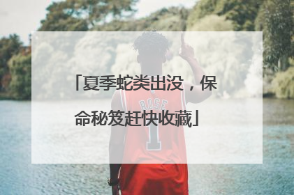 夏季蛇类出没，保命秘笈赶快收藏