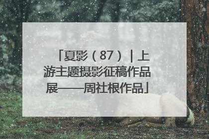夏影（87）｜上游主题摄影征稿作品展——周社根作品