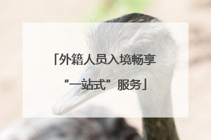 外籍人员入境畅享“一站式”服务