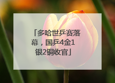 多哈世乒赛落幕，国乒4金1银2铜收官