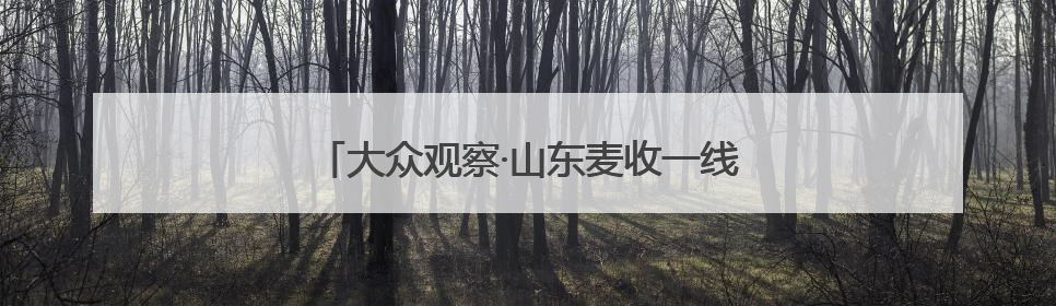 大众观察·山东麦收一线丨“无形田”里有大账