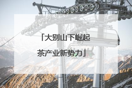 大别山下崛起茶产业新势力