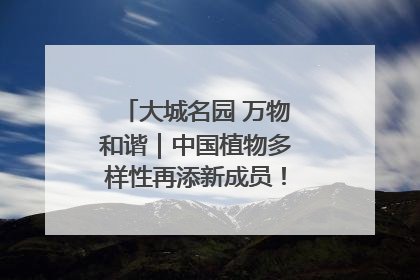 大城名园 万物和谐｜中国植物多样性再添新成员！它只在西藏墨脱