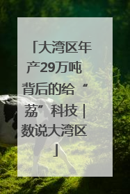 大湾区年产29万吨背后的给“荔”科技｜数说大湾区