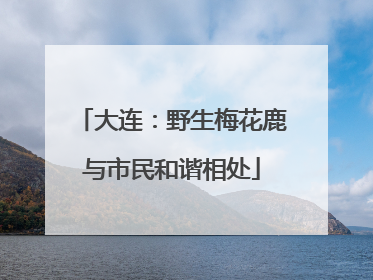 大连：野生梅花鹿与市民和谐相处