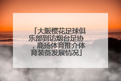 大阪樱花足球俱乐部到访烟台足协，鹿扬体育推介体育装备发展情况