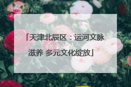 天津北辰区：运河文脉滋养 多元文化绽放