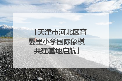 天津市河北区育婴里小学国际象棋共建基地启航