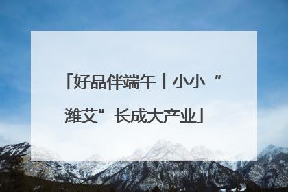 好品伴端午丨小小“潍艾”长成大产业