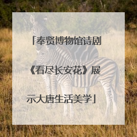 奉贤博物馆诗剧《看尽长安花》展示大唐生活美学