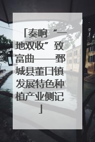 奏响“一地双收”致富曲——鄄城县董口镇发展特色种植产业侧记