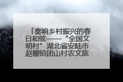 奏响乡村振兴的春日和弦——“全国文明村”湖北省安陆市赵棚镇团山村农文旅融合发展见闻