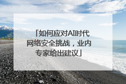 如何应对AI时代网络安全挑战，业内专家给出建议