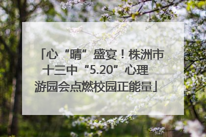 心“晴”盛宴！株洲市十三中“5.20”心理游园会点燃校园正能量