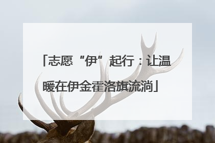志愿“伊”起行：让温暖在伊金霍洛旗流淌
