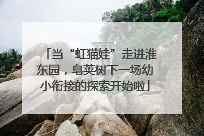 当“虹猫娃”走进淮东园，皂荚树下一场幼小衔接的探索开始啦