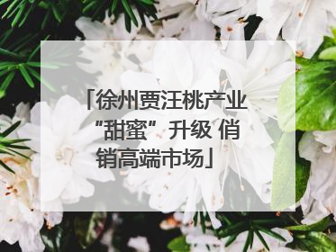 徐州贾汪桃产业“甜蜜”升级 俏销高端市场