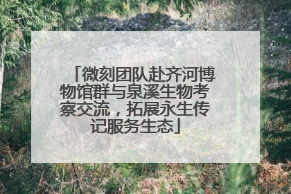 微刻团队赴齐河博物馆群与泉溪生物考察交流，拓展永生传记服务生态