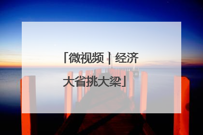 微视频｜经济大省挑大梁