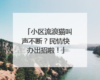 小区流浪猫叫声不断？民情快办出招啦！