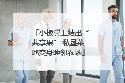 小板凳上结出“共享果” 私垦菜地变身睦邻农场