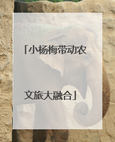 小杨梅带动农文旅大融合