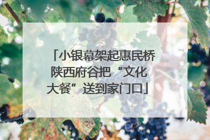 小银幕架起惠民桥 陕西府谷把“文化大餐”送到家门口