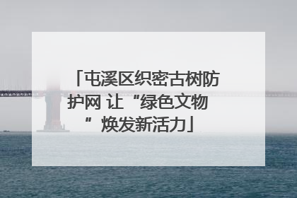 屯溪区织密古树防护网 让“绿色文物”焕发新活力