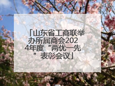 山东省工商联举办所属商会2024年度“两优一先”表彰会议