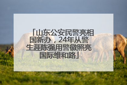 山东公安民警亮相国新办，24年从警生涯陈强用警徽照亮国际维和路