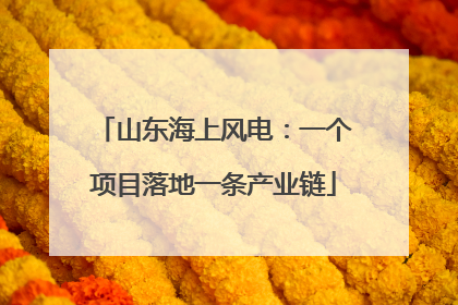 山东海上风电：一个项目落地一条产业链