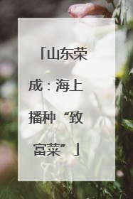山东荣成：海上播种“致富菜”