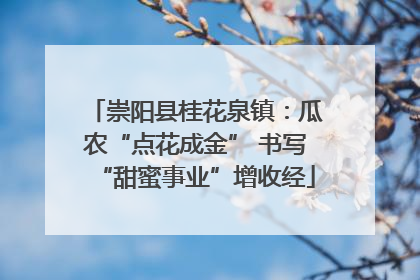 崇阳县桂花泉镇：瓜农“点花成金” 书写“甜蜜事业”增收经