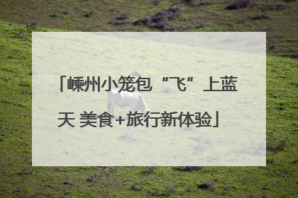 嵊州小笼包“飞”上蓝天 美食+旅行新体验