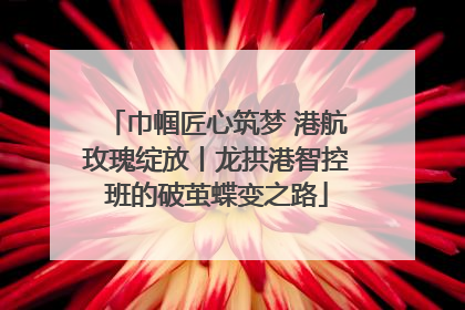 巾帼匠心筑梦 港航玫瑰绽放丨龙拱港智控班的破茧蝶变之路