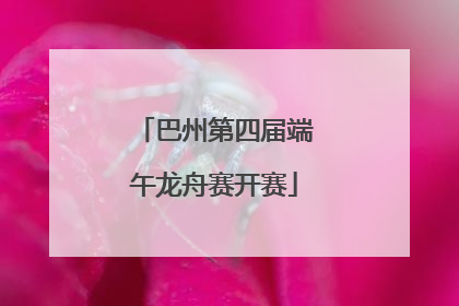 巴州第四届端午龙舟赛开赛