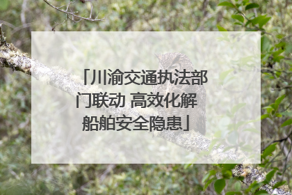 川渝交通执法部门联动 高效化解船舶安全隐患