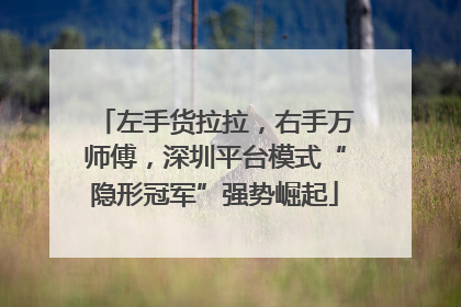 左手货拉拉，右手万师傅，深圳平台模式“隐形冠军”强势崛起