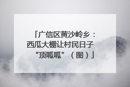 广信区黄沙岭乡：西瓜大棚让村民日子“顶呱呱”（图）