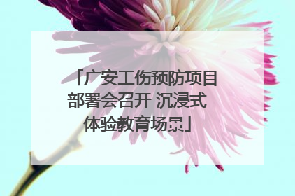 广安工伤预防项目部署会召开 沉浸式体验教育场景