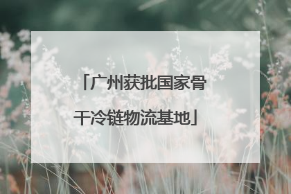 广州获批国家骨干冷链物流基地