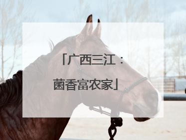 广西三江：菌香富农家
