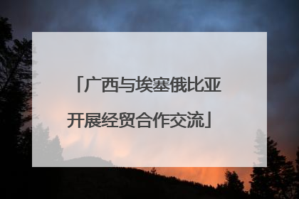 广西与埃塞俄比亚开展经贸合作交流