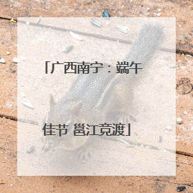 广西南宁：端午佳节 邕江竞渡
