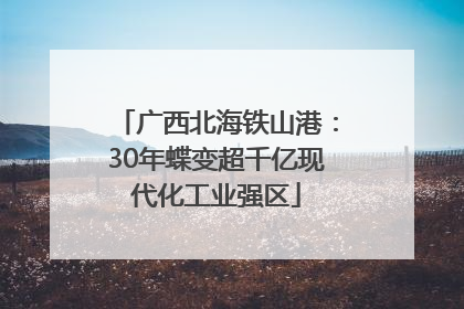广西北海铁山港：30年蝶变超千亿现代化工业强区