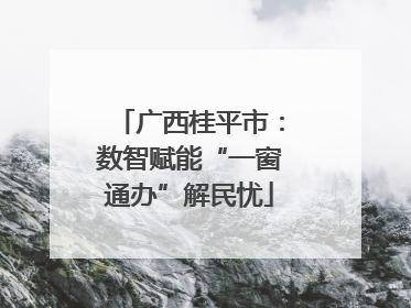 广西桂平市：数智赋能“一窗通办”解民忧