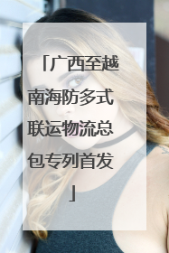 广西至越南海防多式联运物流总包专列首发