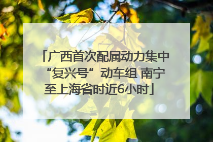 广西首次配属动力集中“复兴号”动车组 南宁至上海省时近6小时