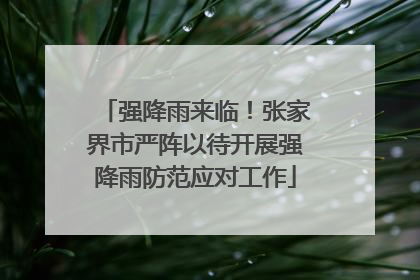 强降雨来临！张家界市严阵以待开展强降雨防范应对工作